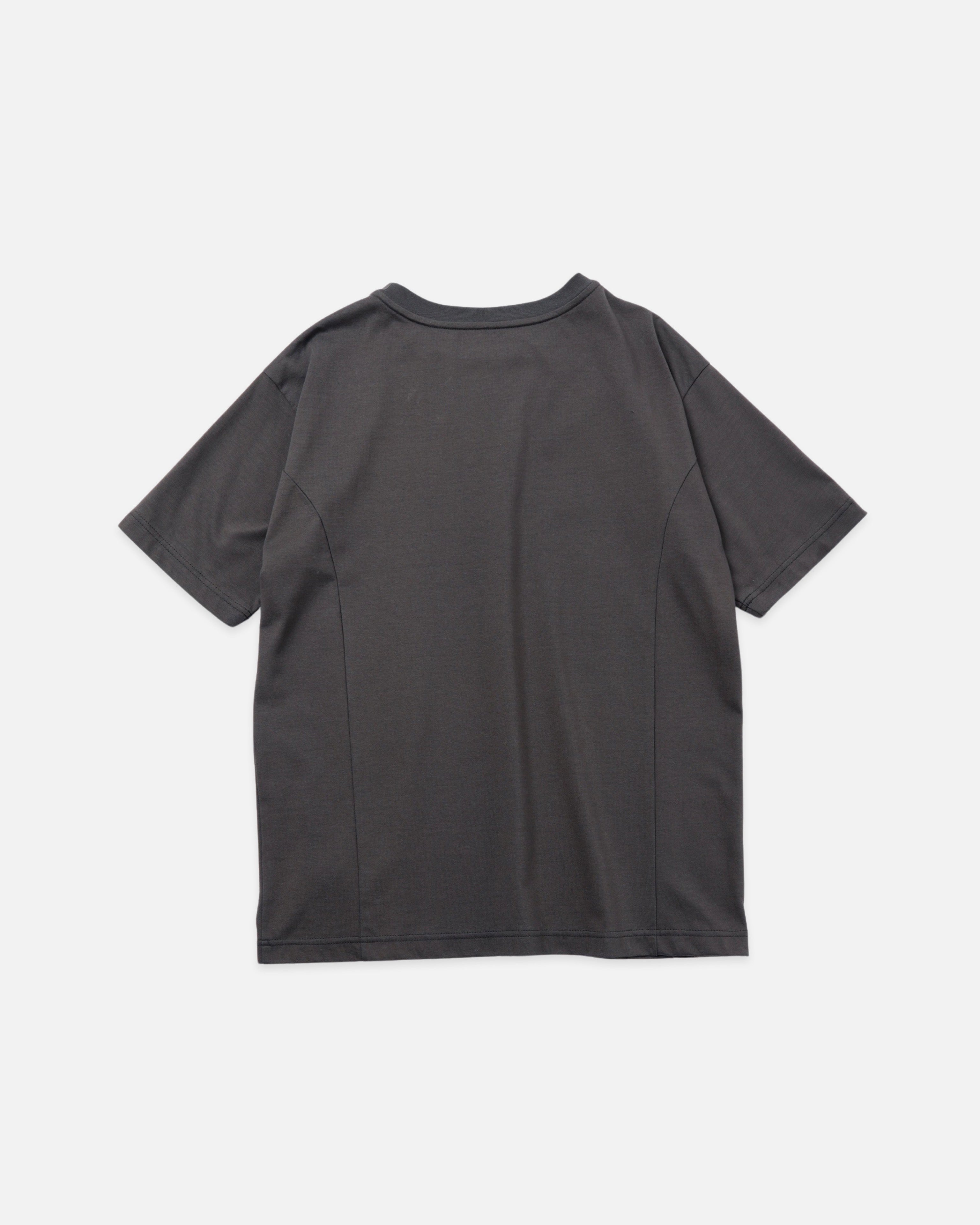 Organic cotton Big T-shirt (charcoal)